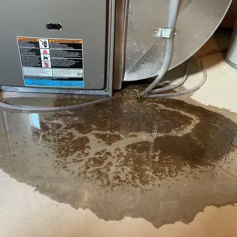 Appliance Leak Cleanup in Hialeah, FL